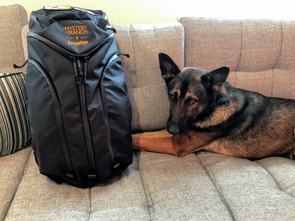 Mystery Ranch x Carryology Assault Quick “Review” LaptrinhX / News