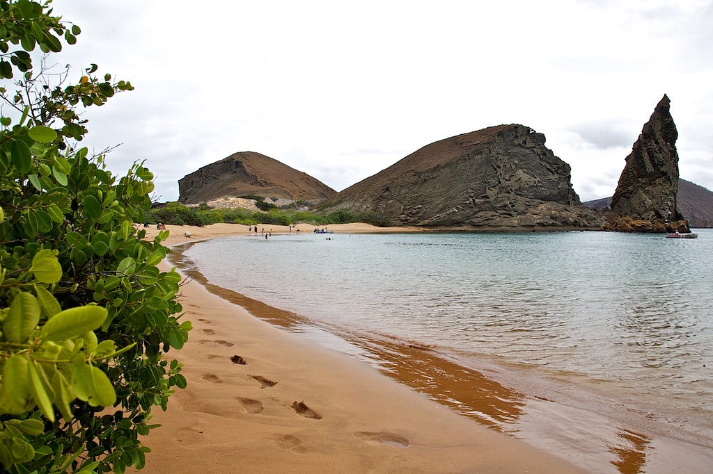 Photos Of The Galápagos Image: Footprints on a Galápagos Island beach.