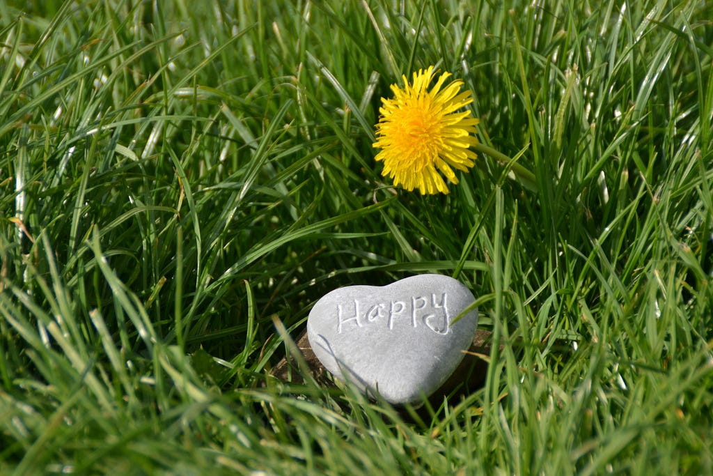 Photo of grass with a flowering dandelion, on the grass a heart-shaped rock that has the phrase “happy” engraved