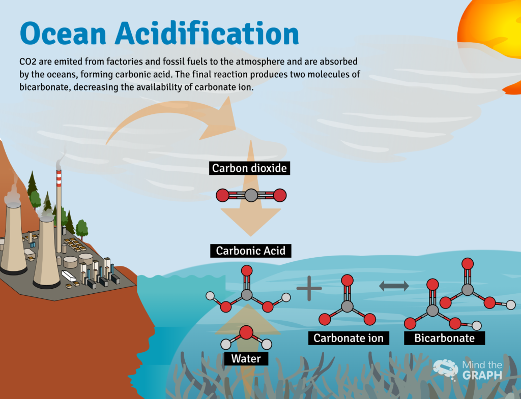 ocean-acidification