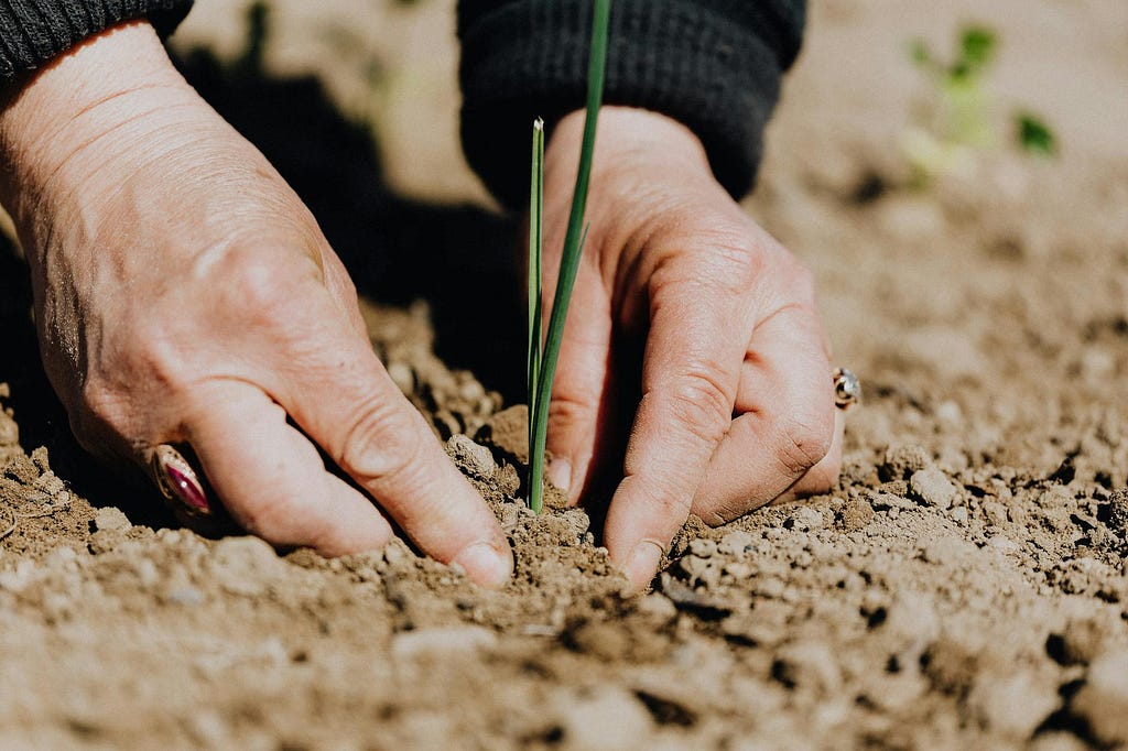 Planting Seeds of Responsibility — Lessons from Man’s Search for Meaning