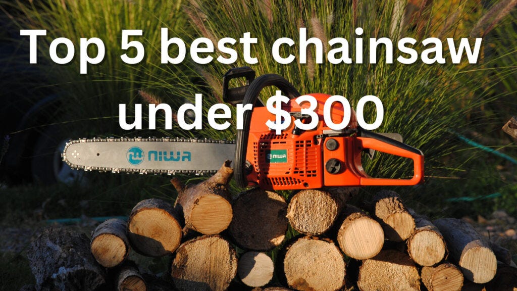 Top 5 best chainsaw under $300 (2023 updated)