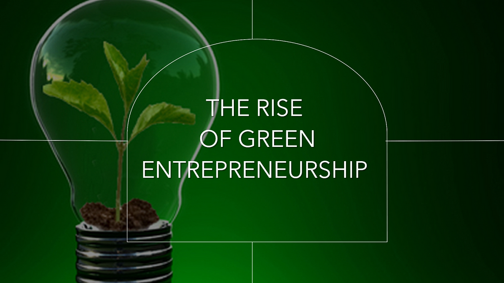A plant is growing inside a bulb as a indication of the rise of green entrepreneurs with the ideas and vision.