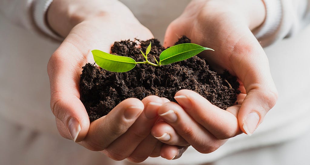 two hands holding soil with a green leaf growing out of it