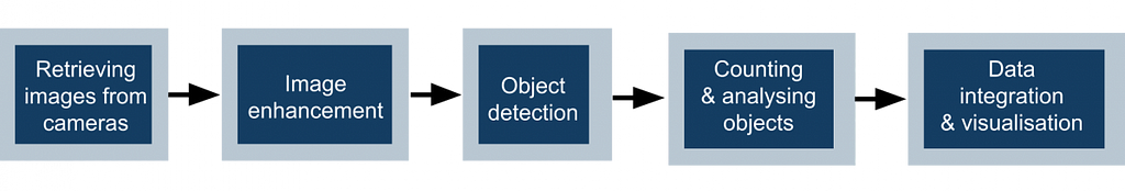 A scheme of how detection works