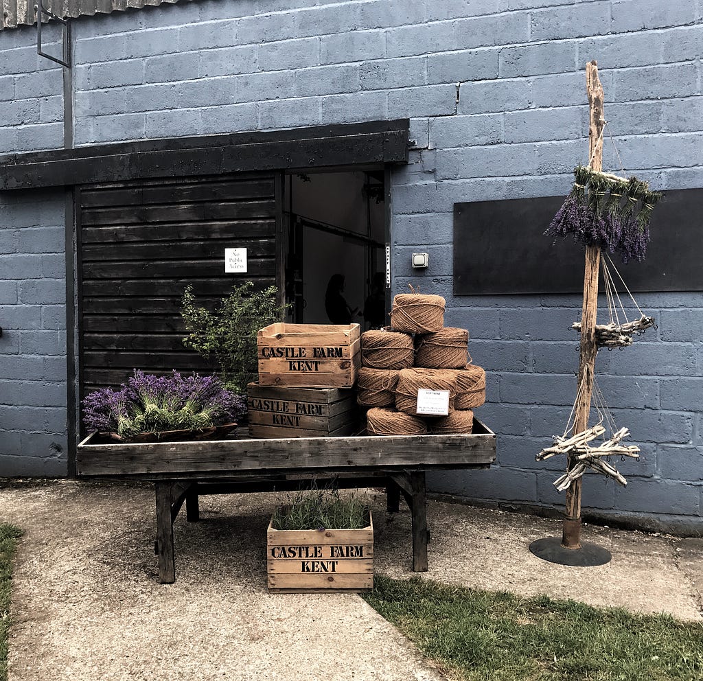 Lavender field Hop Shop kent