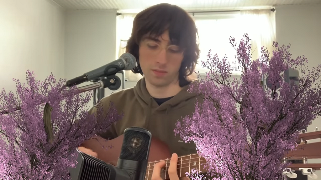A brown haired british boy surrounded by pink plants plays an acoustic guitar and sings.