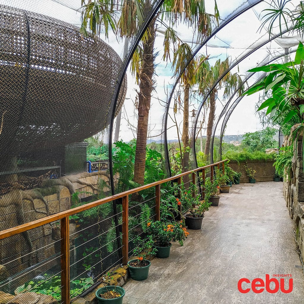 a view inside the Cebu Ocean Park, image captured by Cebu Insights