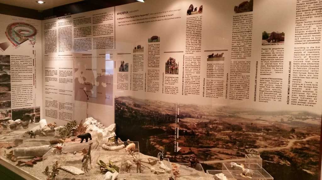 Bursa Archeology Museum | Being a Tourist in Turkey