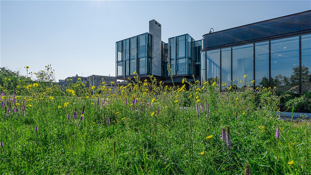 Architecture of the Richard Ivey School of Business in London, Ontario by Scott Webb Photography