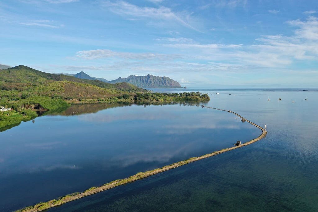 Hawaiian loko iʻa are examples of Indigenous aquaculture systems.