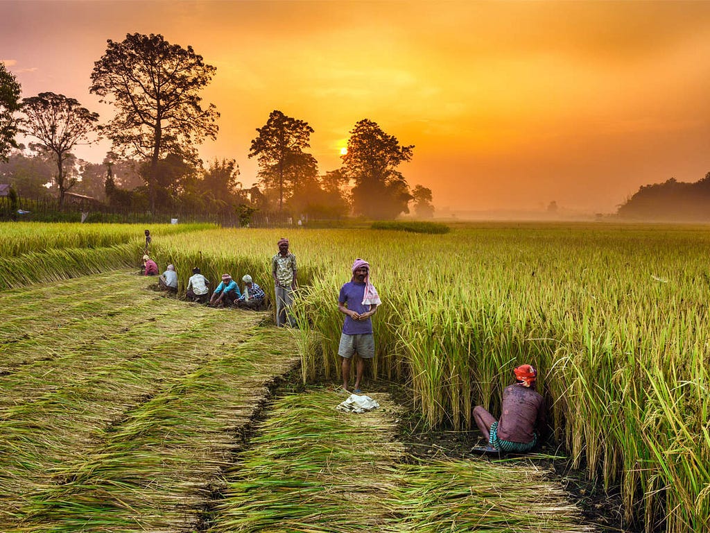 Indian Agricultural Practises