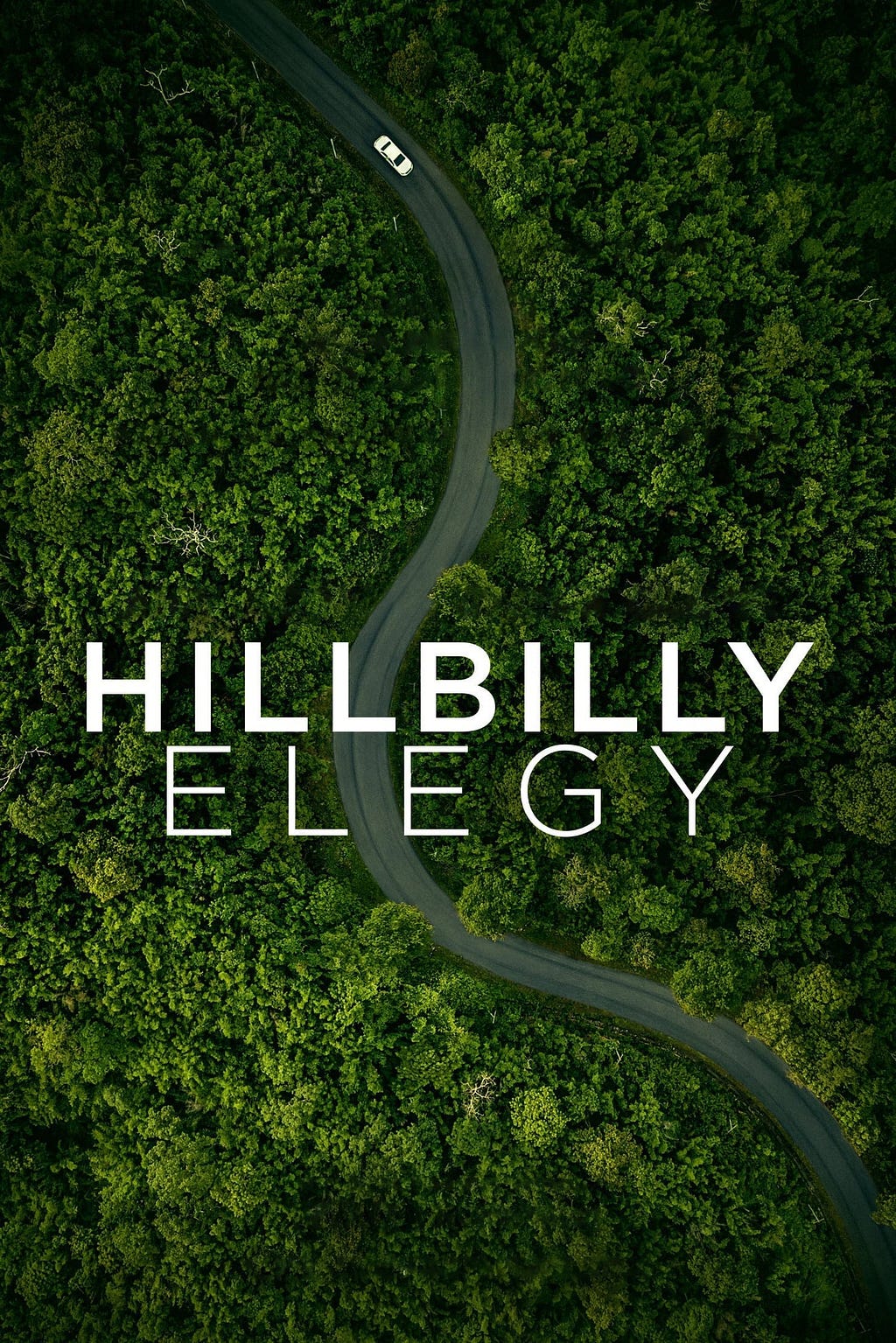 Hillbilly Elegy (2020) | Poster