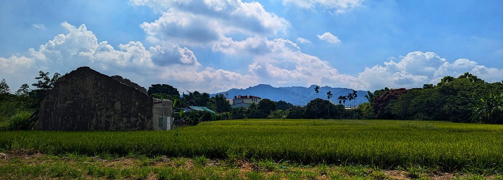 An old house with no roof sits next to a rice field. In the distance is the Taichung Mountains.