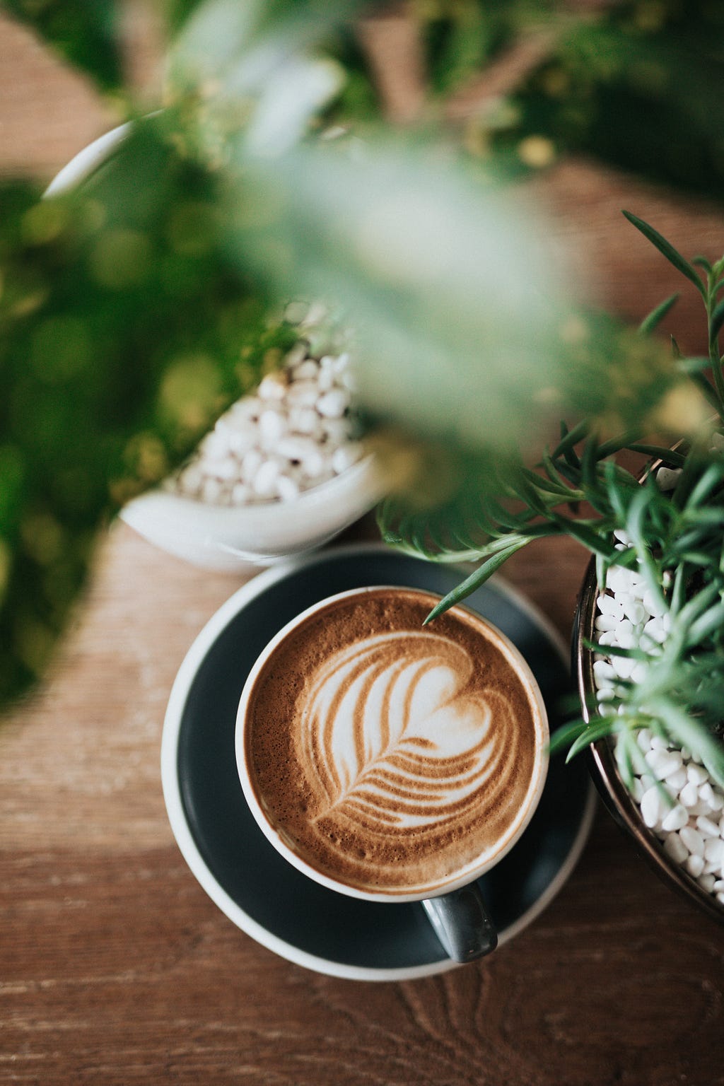 A latte with two potted plants.