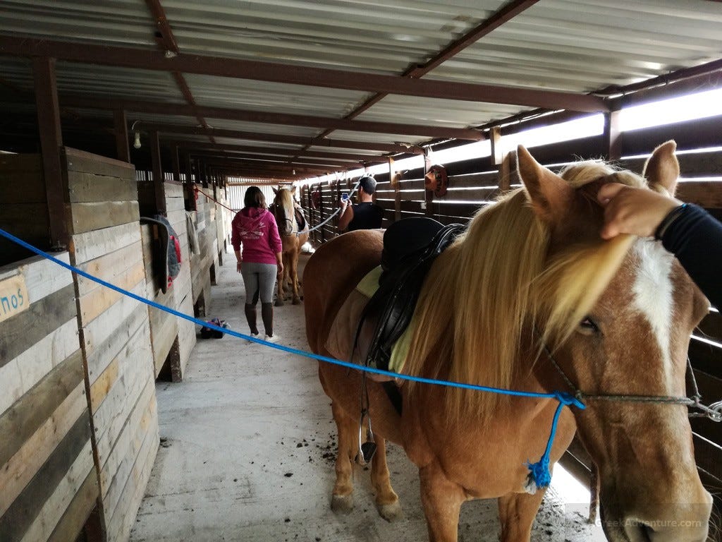 Lesvos HorseBack Riding and Hiking