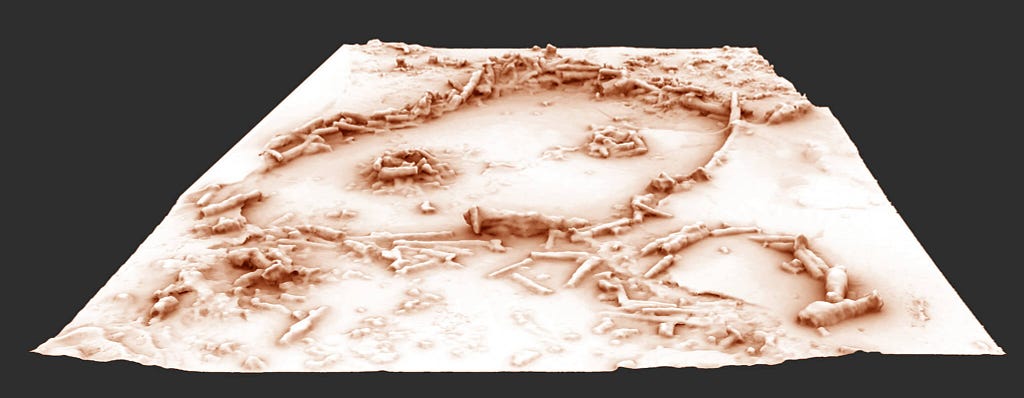 Picture of 3D reconstruction of the structures in the Bruniquel Cave