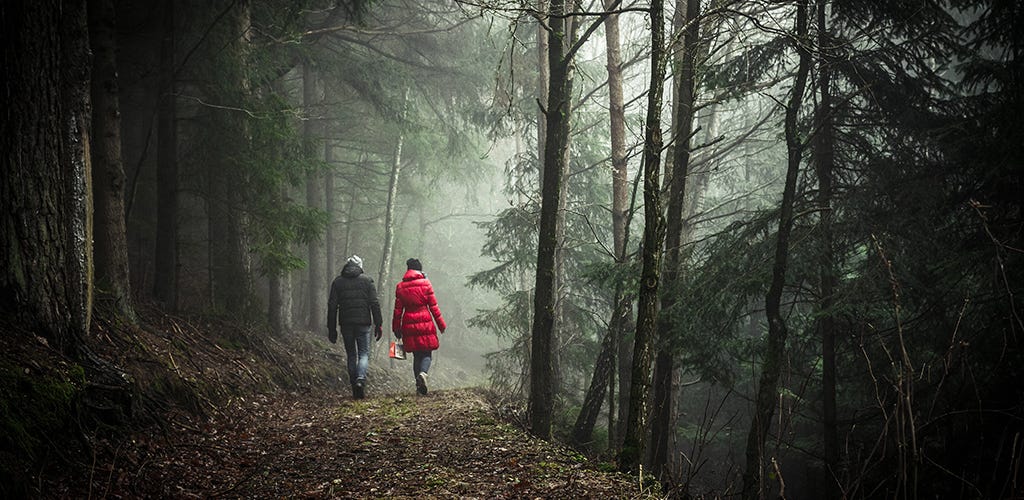 Couple walking in a forest