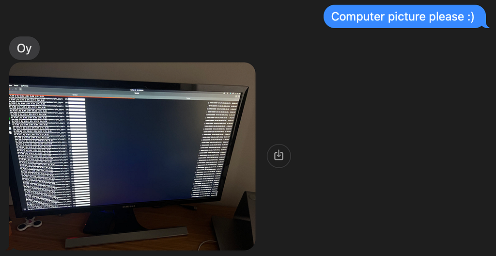 A screenshot of texts with my partner. I send a message saying “Computer picture please” with a smiley face. She responds “Oy” before sending a picture of my monitor, showing the GAN training.