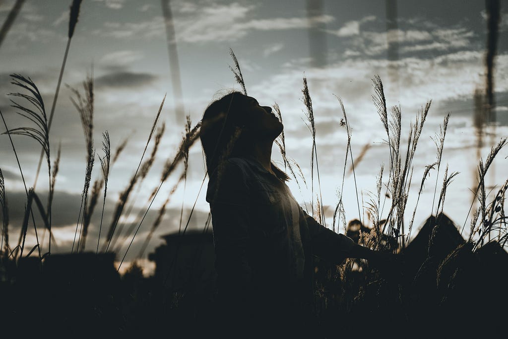 A woman sitting in the grass and gazing at the sky. It’s cloudy, dark, and dreary, so only her silhouette is visible.
