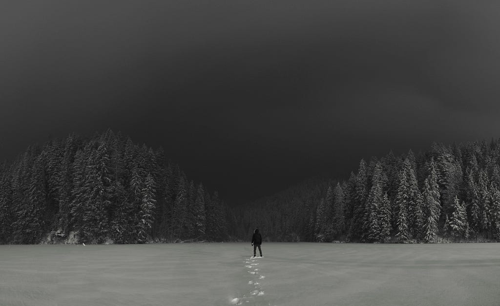 A person standing alone in the middle of a snow-covered landscape with snow-covered trees in the distance.