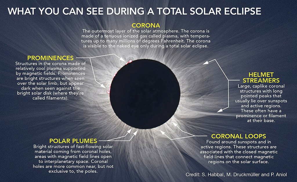 visible structures of the sun in an eclipse