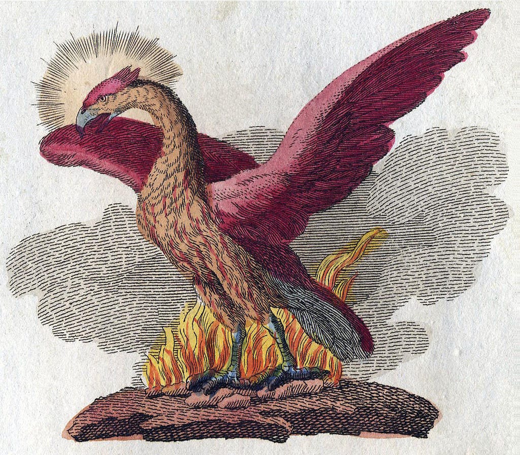 An image of a phoenix in a fire.