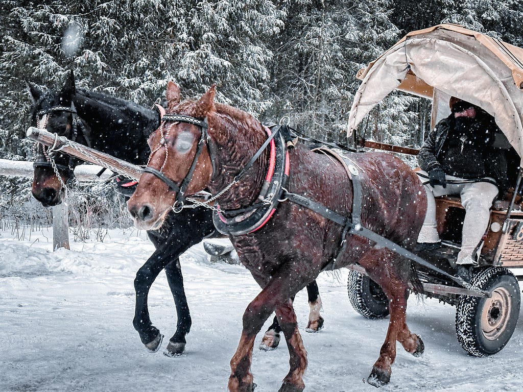 Two horses pulling a chuck wagon.