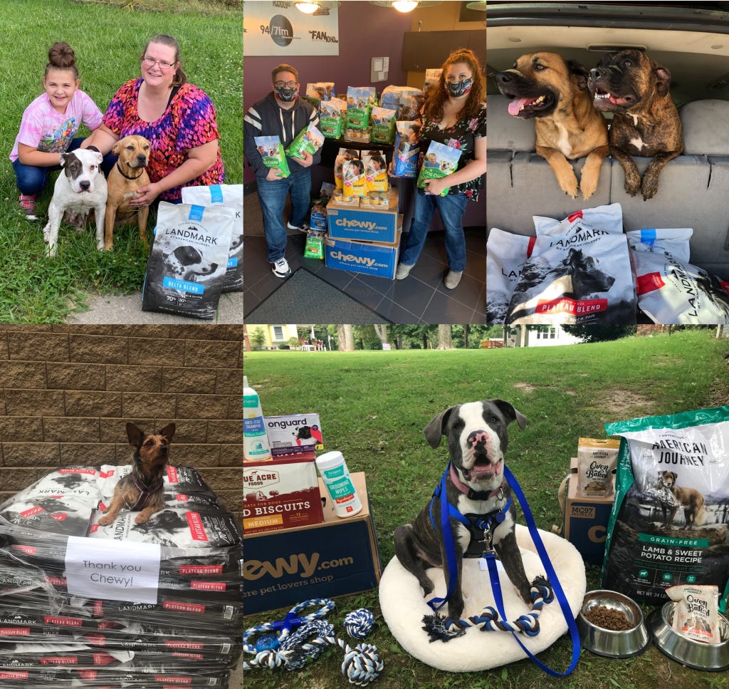 pictures of rescue dogs sitting next to piles of food and treats