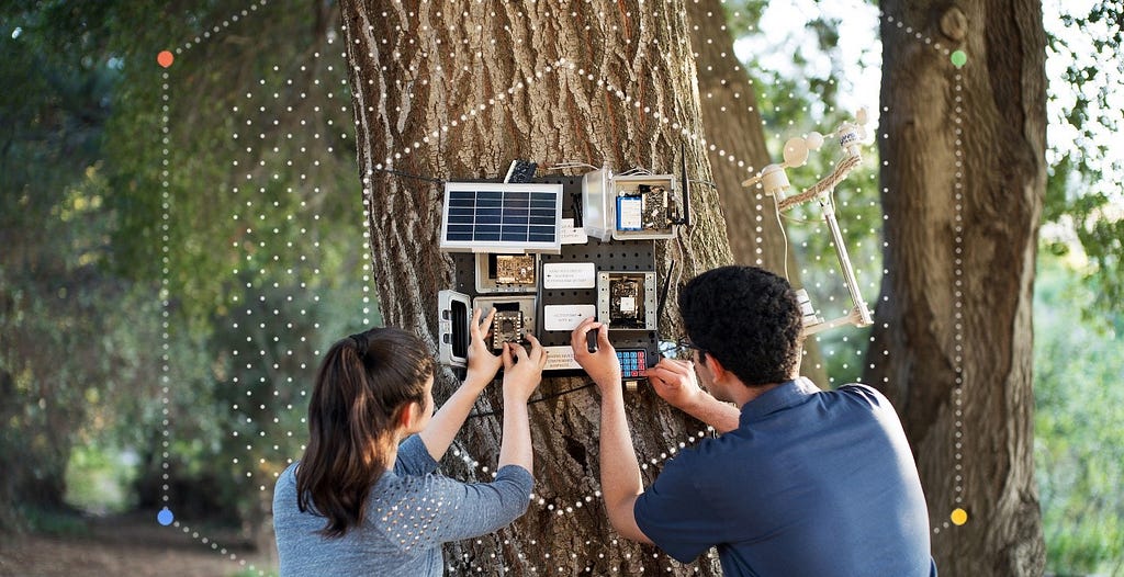 Image of a man and a women fixing a technological equipment on a tree.