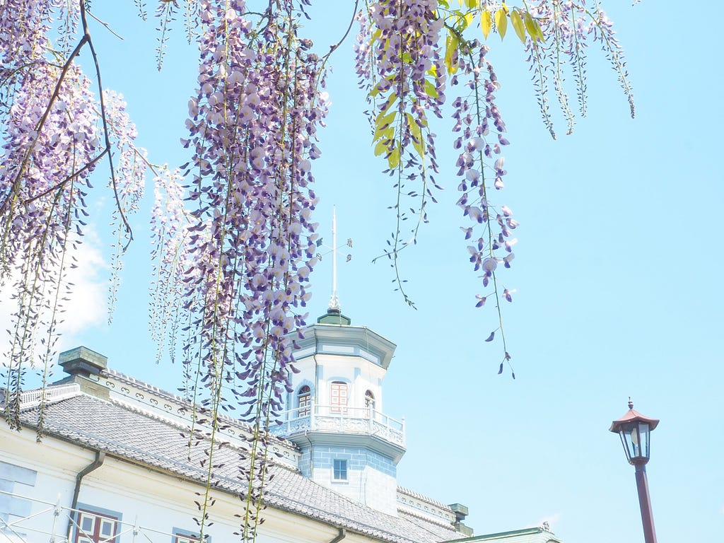 Wisteria hovering near a white tower.