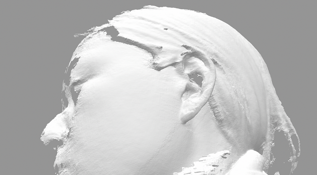 Image of 3D scan mesh of Roxanne’s ear and face