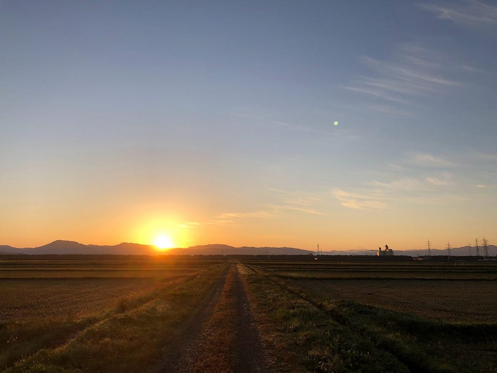 The sun rises directly above Mount Taizo in the background, deep blue sky above the rice fields of Sakata, Yamagata Prefecture.