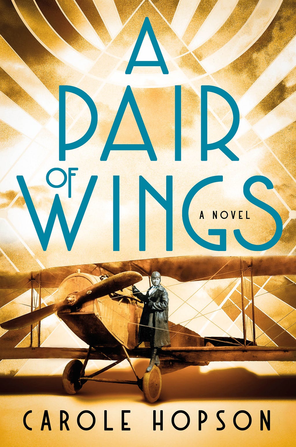 PDF A Pair of Wings By Carole Hopson