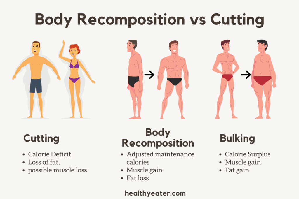 muscle building and maintenance protein intake