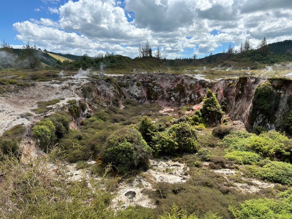 View over grasslands and trees with geothermal vents.