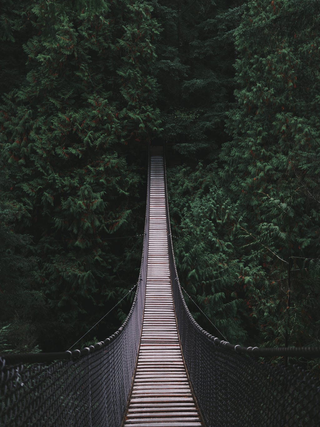 A slatted bridge suspended high over a green ravine.