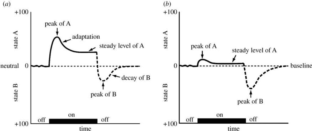 Opponent Process Mechanism