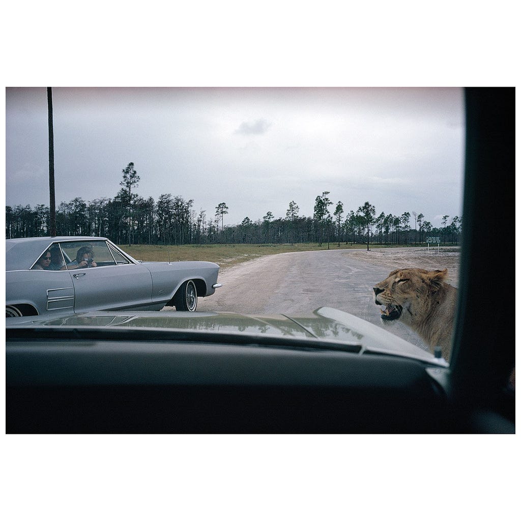 Joel Meyerowitz street phopgraphy