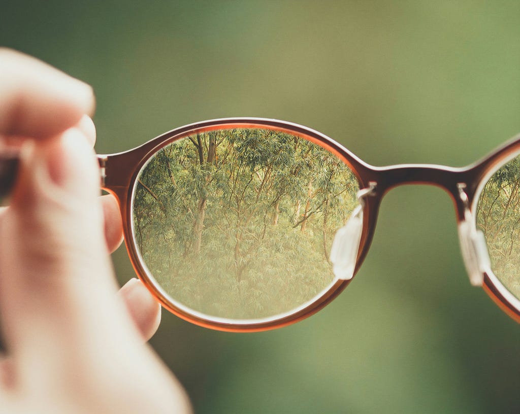 Close-up of a pair of plastic glasses, through which is shown a dense forest. Outside of the frames, the background is blurry.