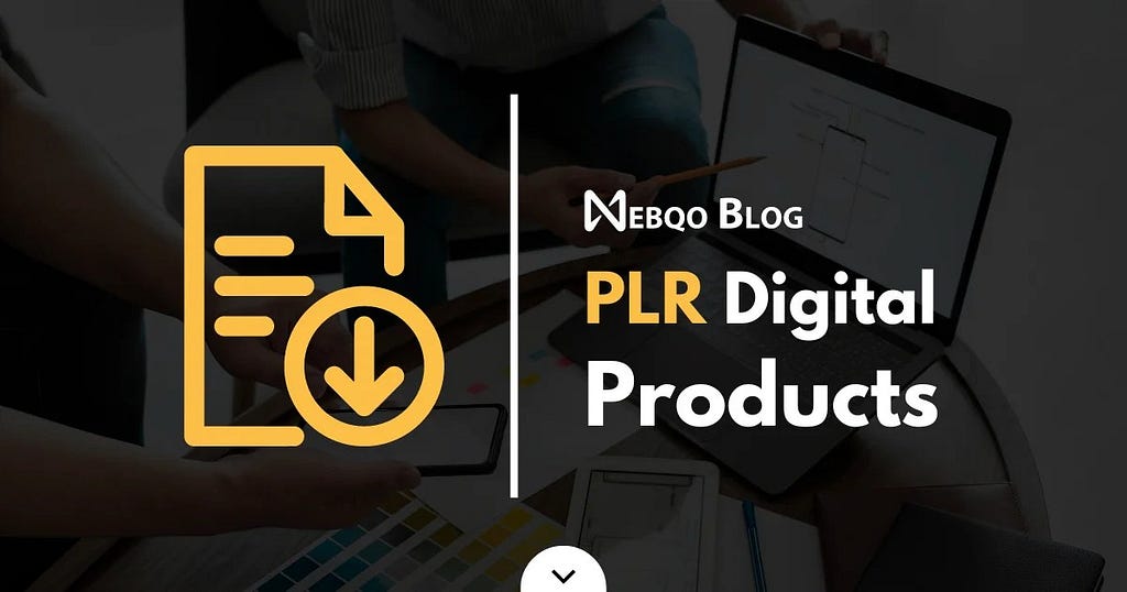 Everything You Need to Know about PLR Digital Products