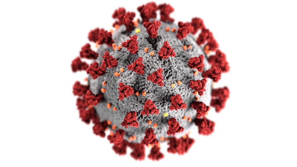 The canonical coronavirus diagram with the Spike (S) protein in red.