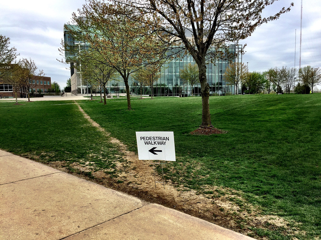 A sign says “pedestrian walkway” with an arrow on it but a path trod in the grass shows that students ignore the sign.