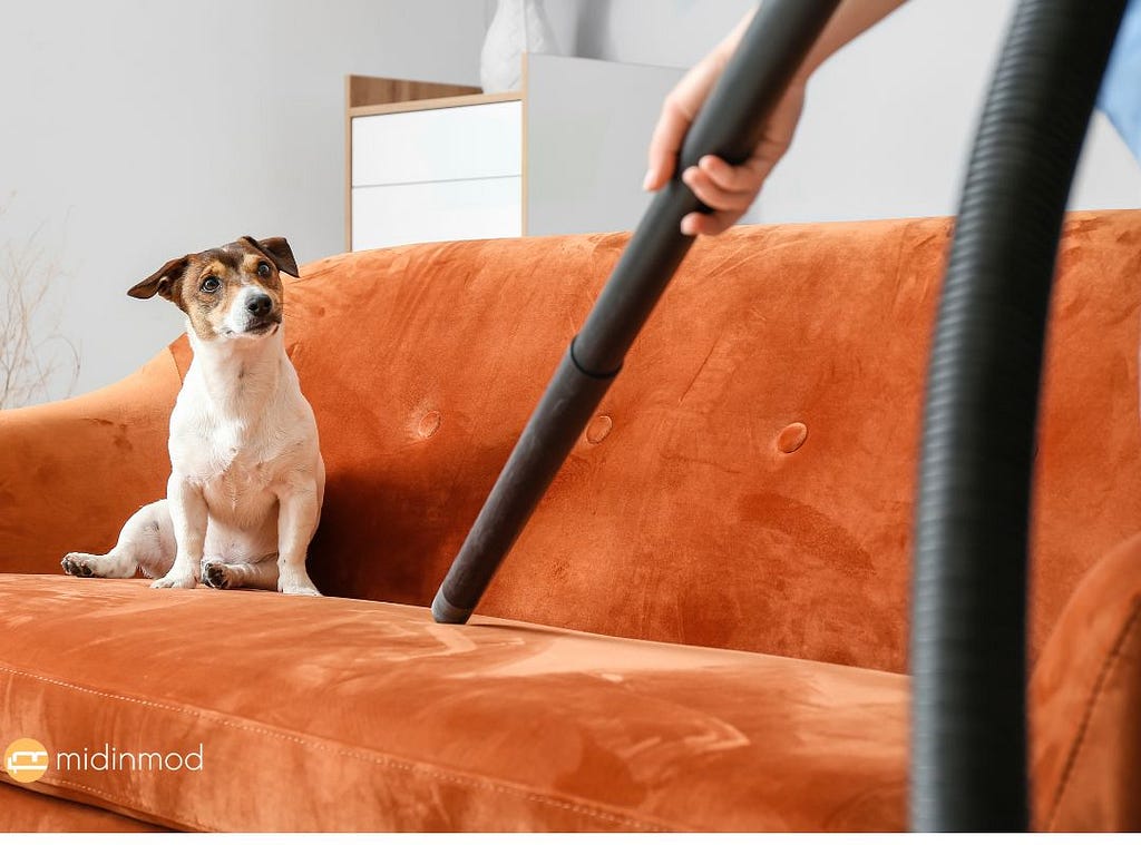 How do dog owners keep their house clean?