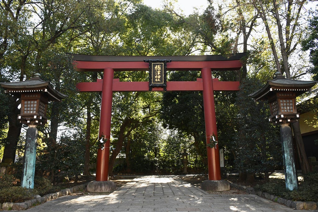 A red tori gate with large stone lanterns on either side stands on a stone path through trees.