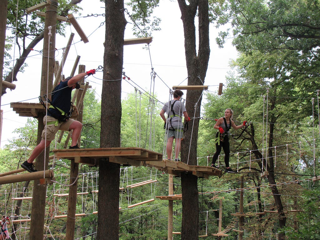 People traverse the treetop adventure set up