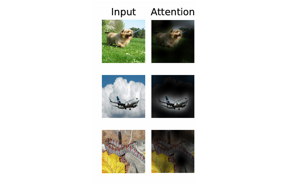 Figure 2- Applying attention to images - Source