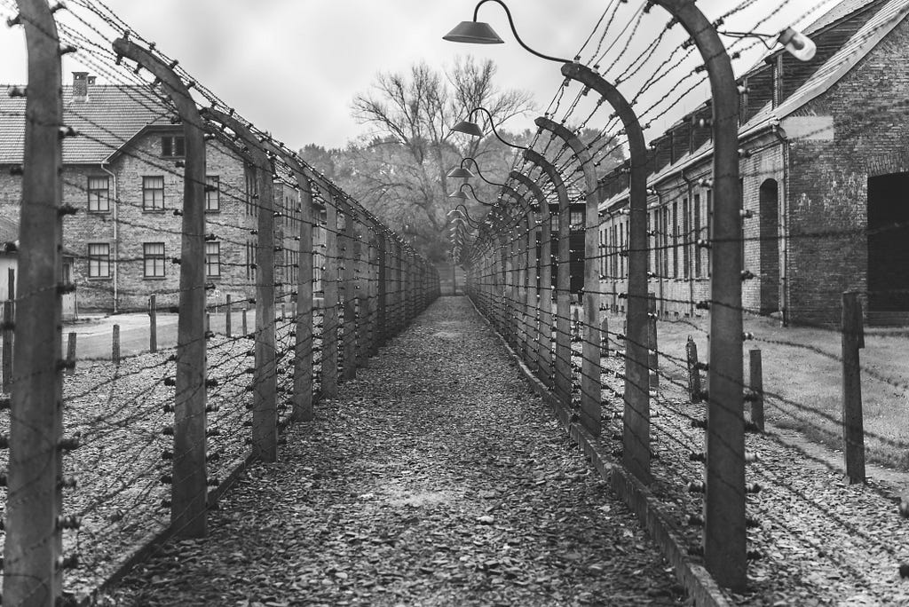 black and white image of a passageway through barbed wire in a prison