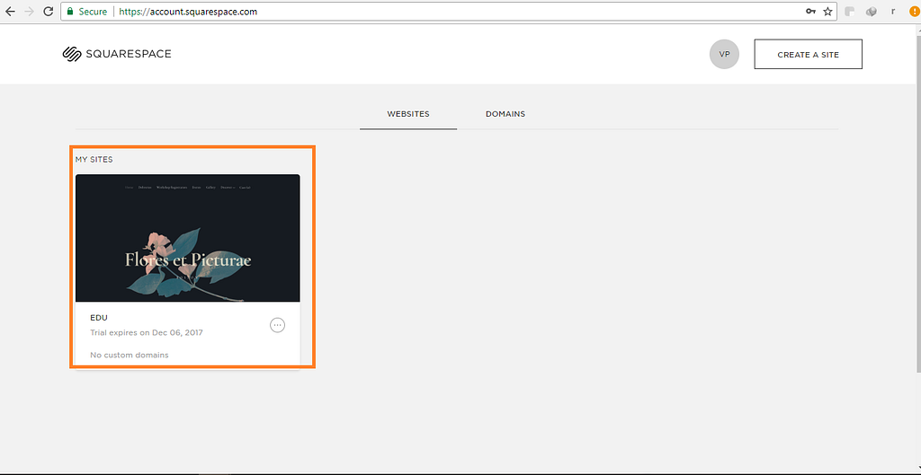 Screenshot of a Squarespace account dashboard showing a trial website named "Flores et Picturae."
