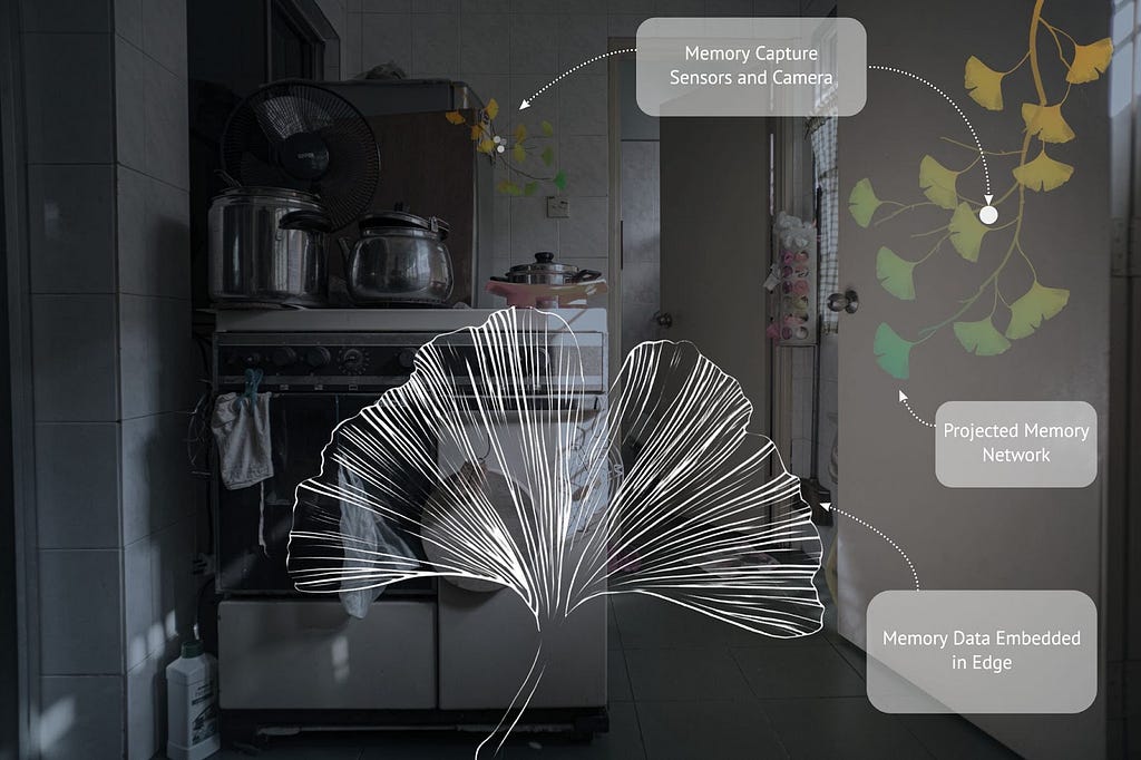 Speculative collage of projected legacy tree on kitchen wall and Ginkgo leaf data visualization scheme based on leaf edge
